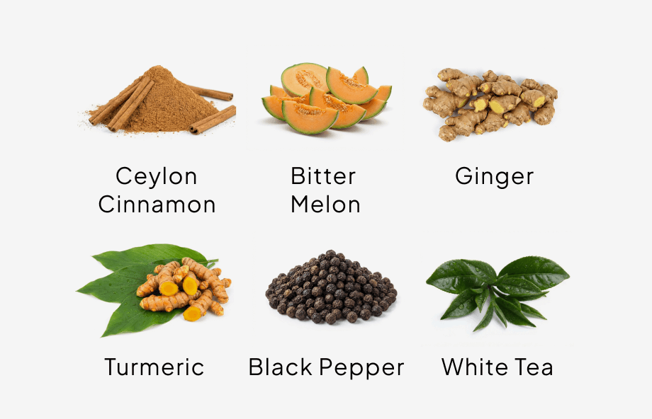 metabolic blend