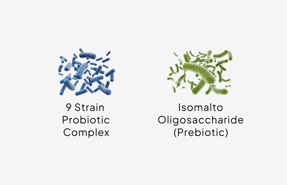 probiotic blend
